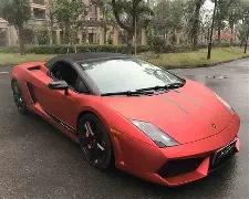 刘嘉玲婚宴,风采夺目,惊艳全场成,竞技宝官网网址,竞技宝网页入口,竞技宝网页地址,竞技宝app下载