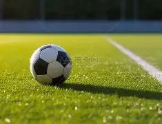 惠灵顿凤凰,澳超征程遇,伤病潮,竞技宝官网网址,竞技宝网页入口,竞技宝网页地址,竞技宝app下载