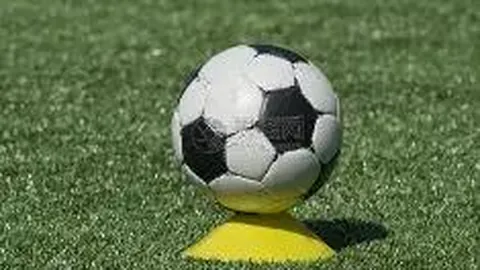 竞技宝网页地址 产品 114121 nyt