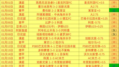 丁文一约堡赛加洞夺冠，中国选手再入T14榜单